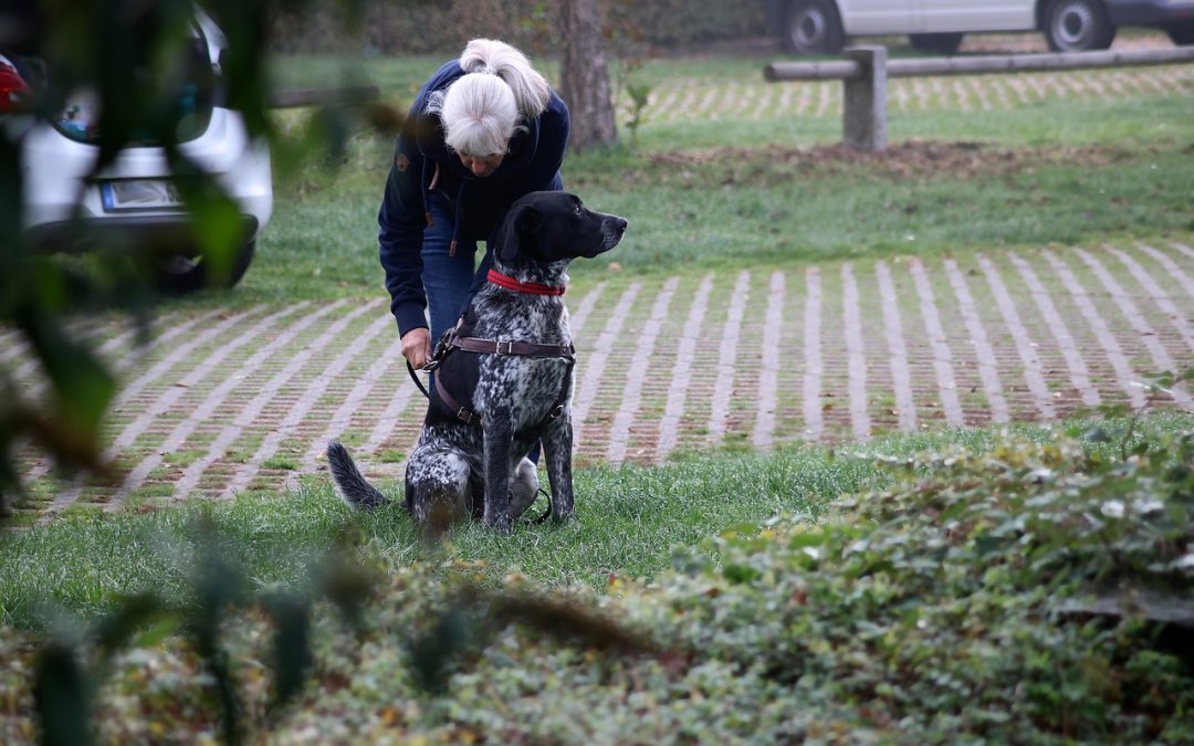 Dinas Damkar Kabupaten Bandung Hapus Sarang Tawon di SPBU